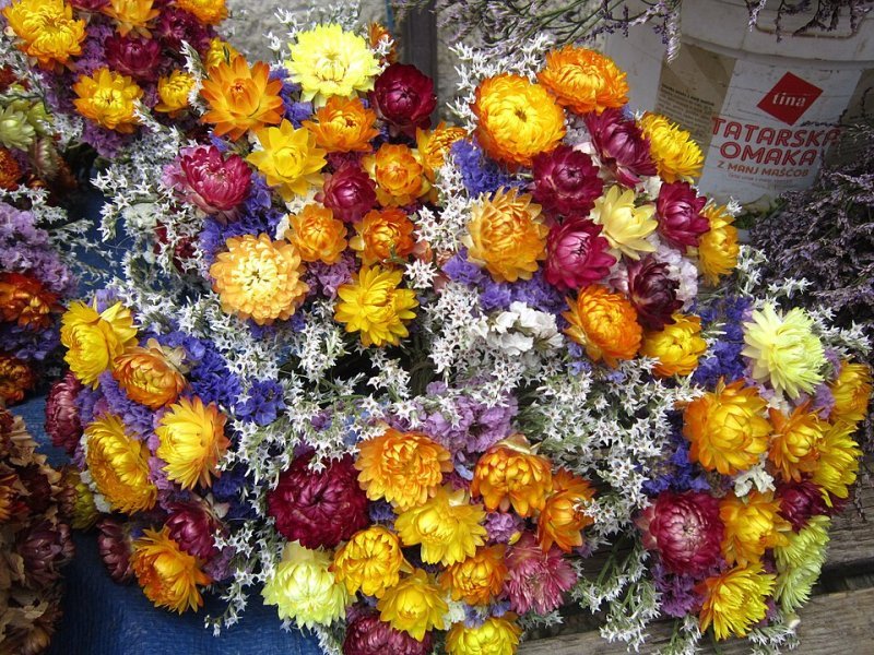 Ram de flor seca