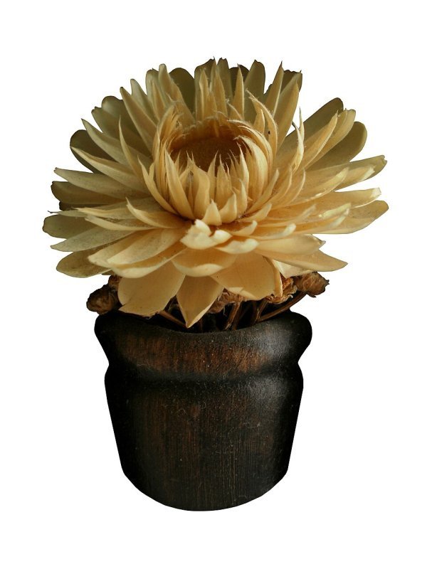 Ram de flors preservades