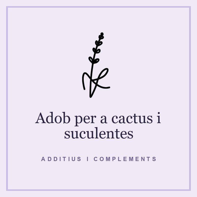 Adob per a cactus i suculentes