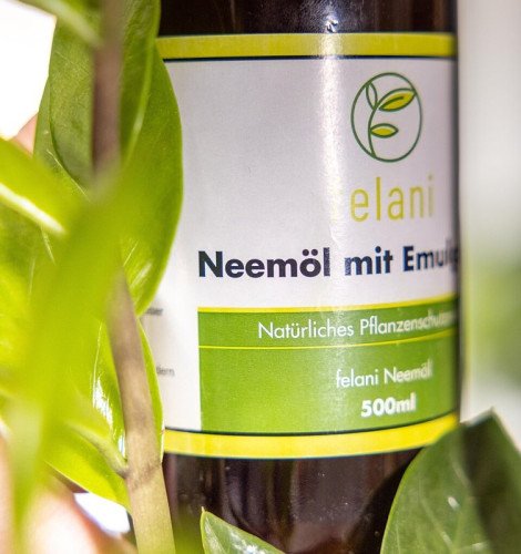 Oli de neem