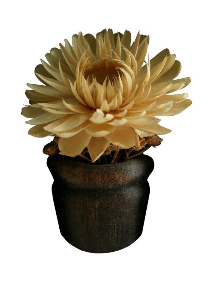 Ramo de flores preservadas