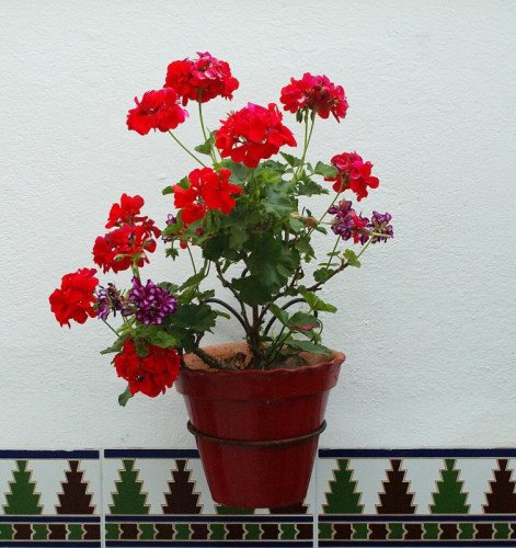 Test de terracota